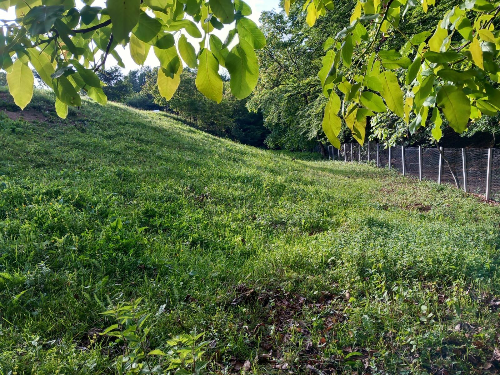 Teren zona Vladesti, sat Fundatura