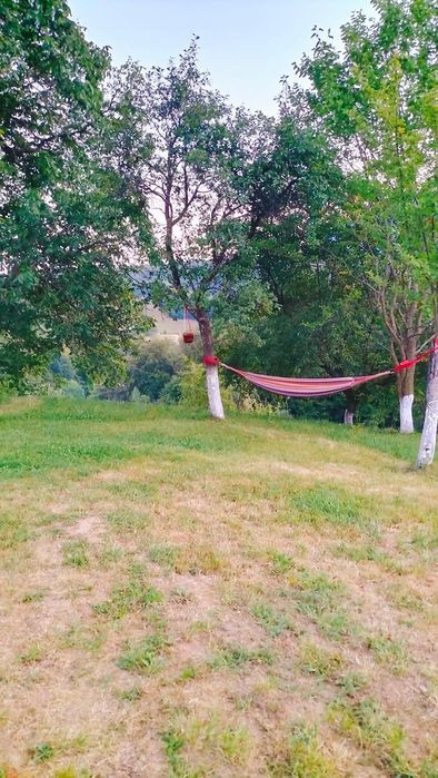 Cabana de închiriere