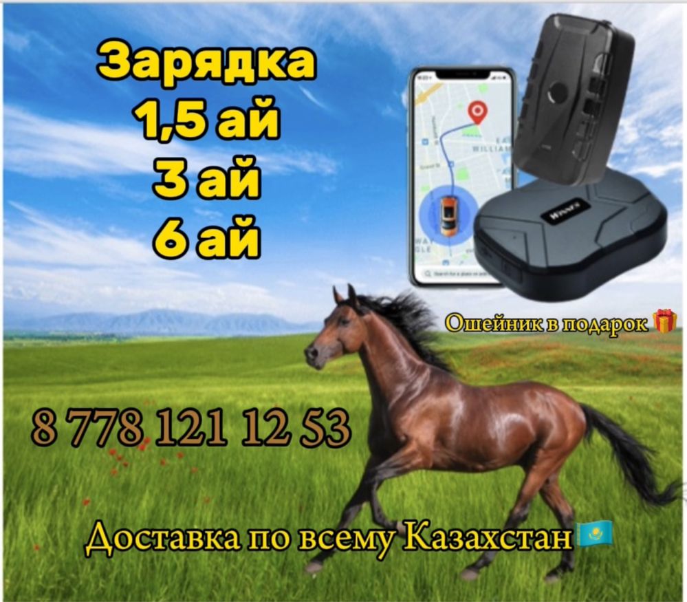 Жпс для лошадей. Gps tracker для все