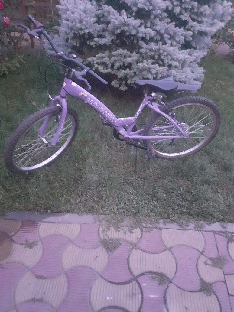 Bicicleta Plimbări Pe Starda