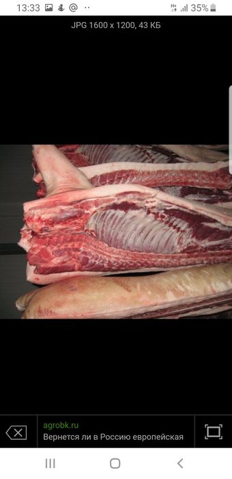 Продаю домашнюю свинину 1700 тг/кг