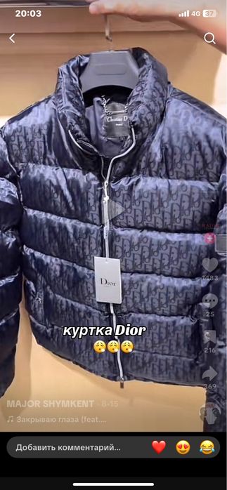 Dior куртка зимний