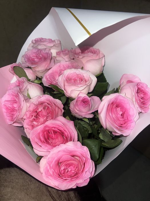 Срочно продам цветы