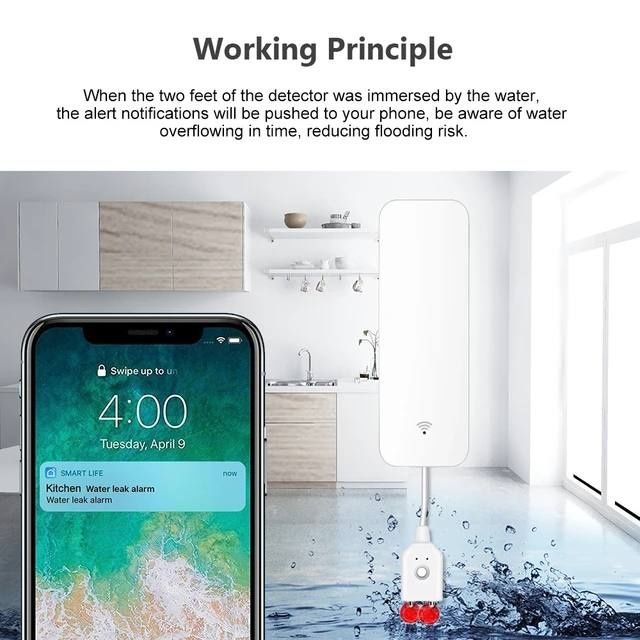 Настенный погружной детектор утечки воды
- Модель: WS06 с Wi-Fi/ ZWS06