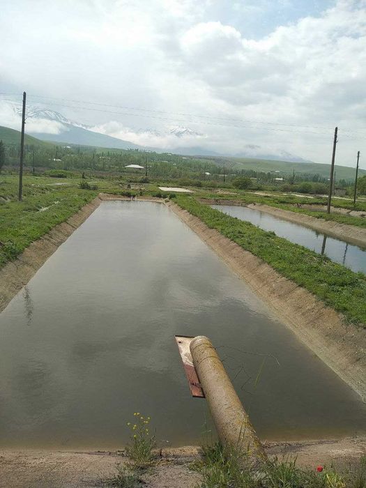 Хозяйство рыбное в Бахмальском районе Джиззакской области