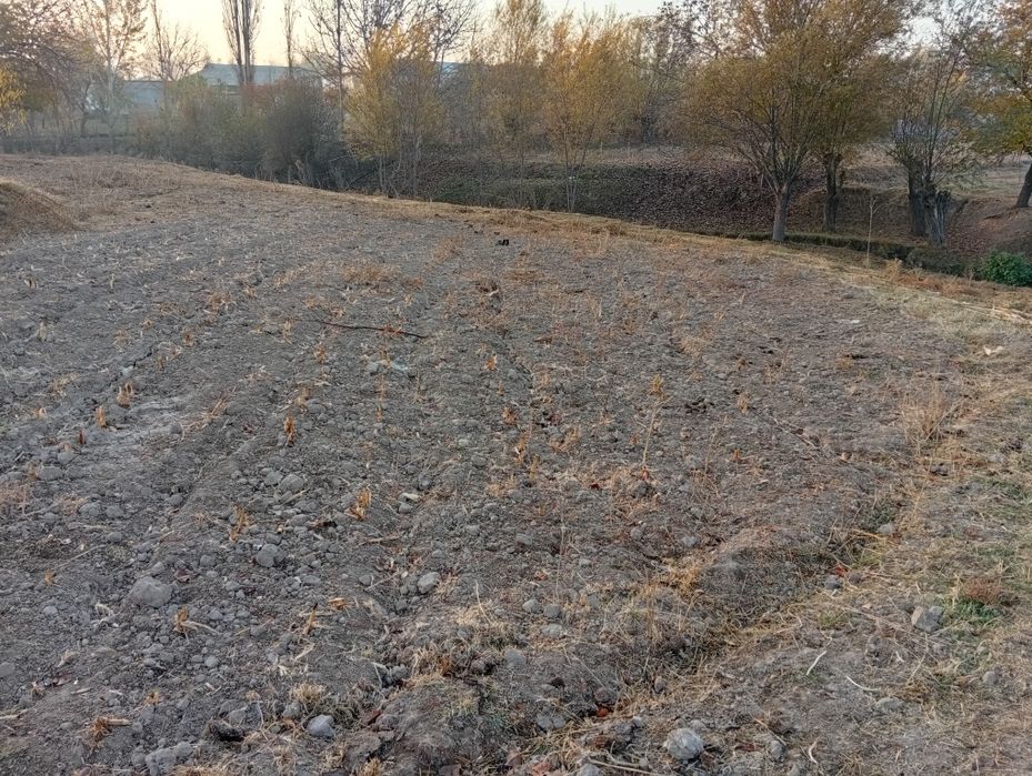 Qurilish uchun yer sotiladi