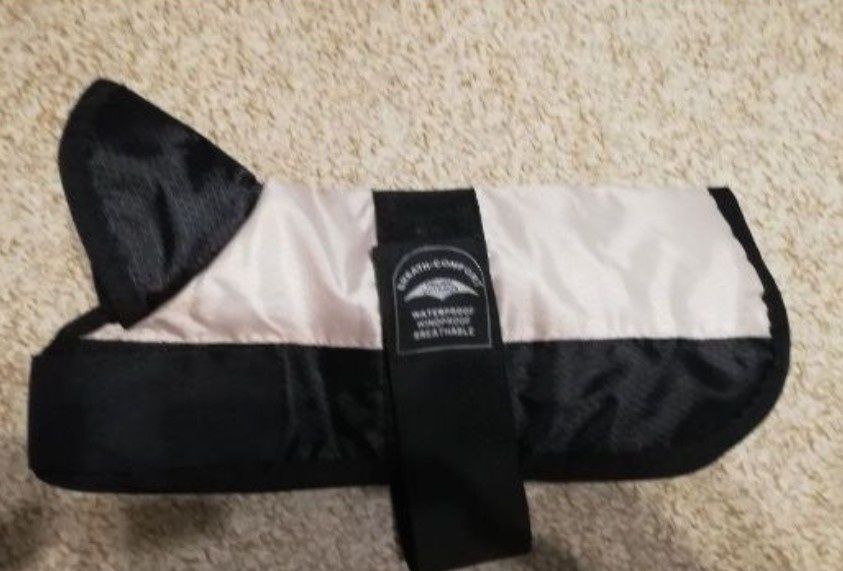 Haine caine talie mica