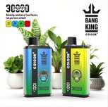 Pachet 2 Vape 30.000 Puffs 2 arome Reicarcabile Type C