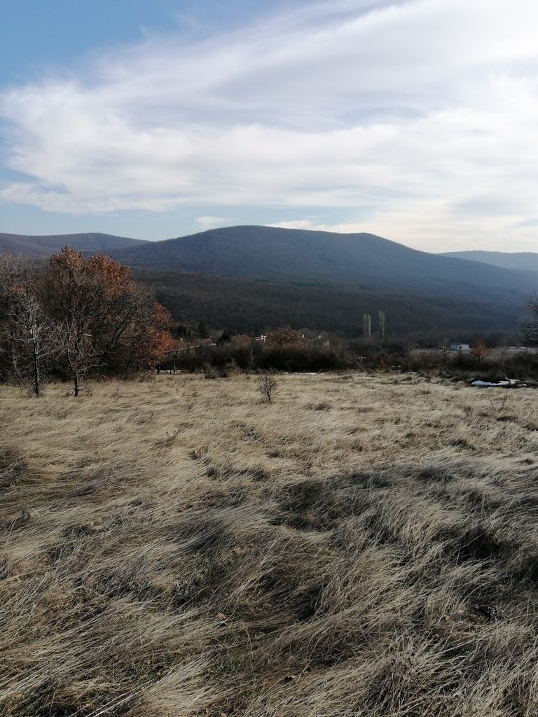 Продава се Парцел в с. Пряпорец, Област Стара Загора - 4800 кв.м за 11 €/кв.м - Снимка #2