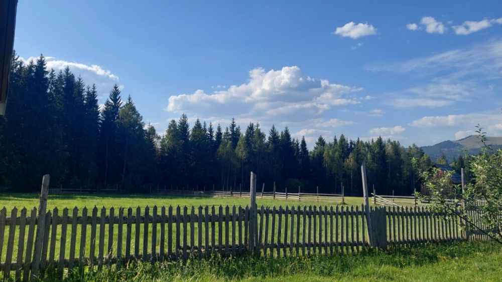 Vând miere ecologică de mană și polifloră, de munte din Vatra Dornei