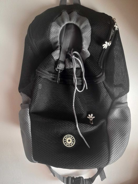 Accesorii pentru catel