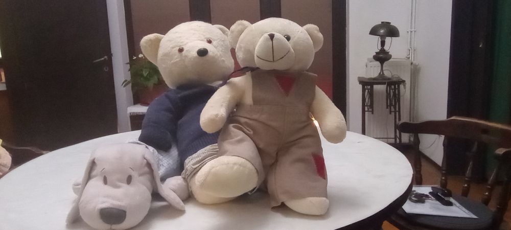 Doi ursuleți cu hăinuțe