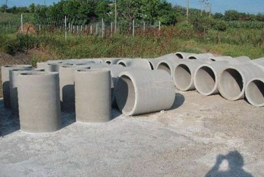 Executam fantani si fose