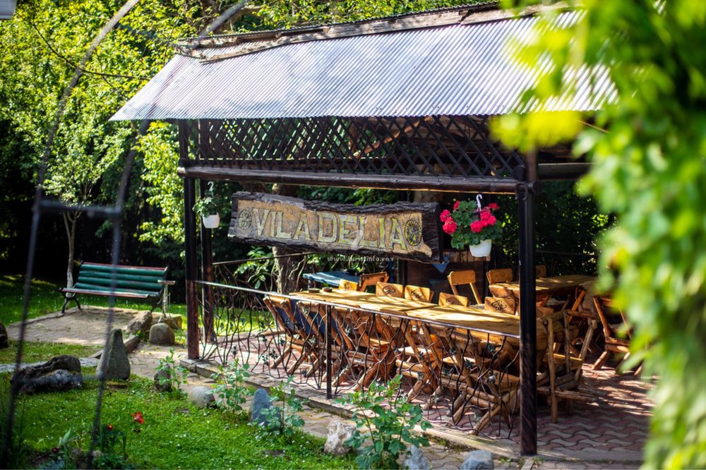 Cazare Bran-Moieciu Pensiunea Delia