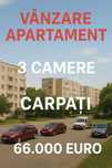 Apartament 3 camere Carpati