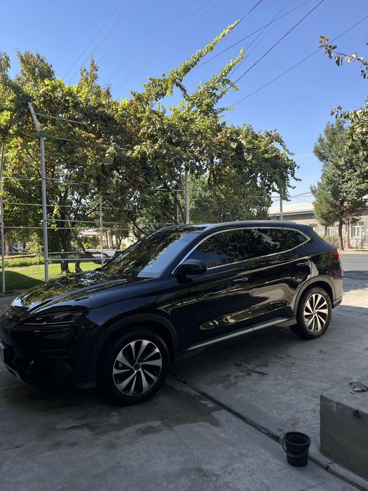 BYD Chimpiyon 23 24