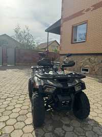 Tao Motor 250 X,