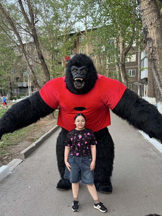 Горилла / Кинг Конг / Горила / Белый мишка / Умка 12 000 тг