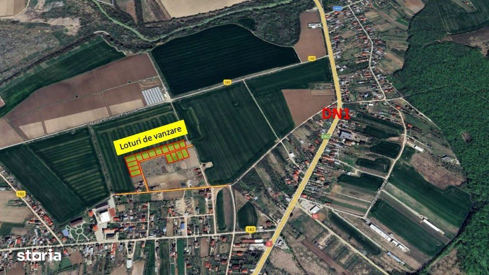 Loturi de casa -  1.000 mp intravilan - Strada Scolii - Ciolpani Ilfov