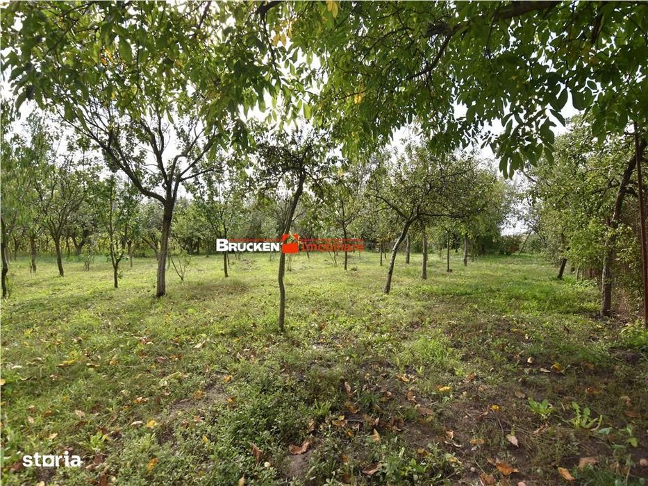 Casa In Zona Garii | Marghita