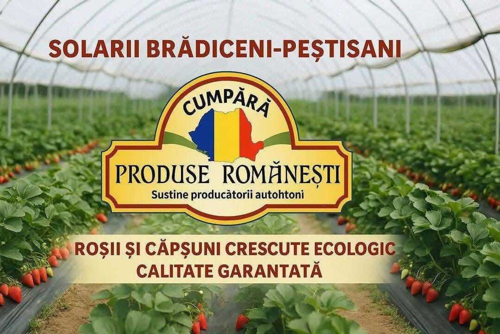 Vand rosii dulci si gustoase crescute ecologic din diverse soiuri