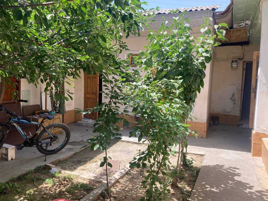 Олмазор туманида ховли сотилади. NR494/29