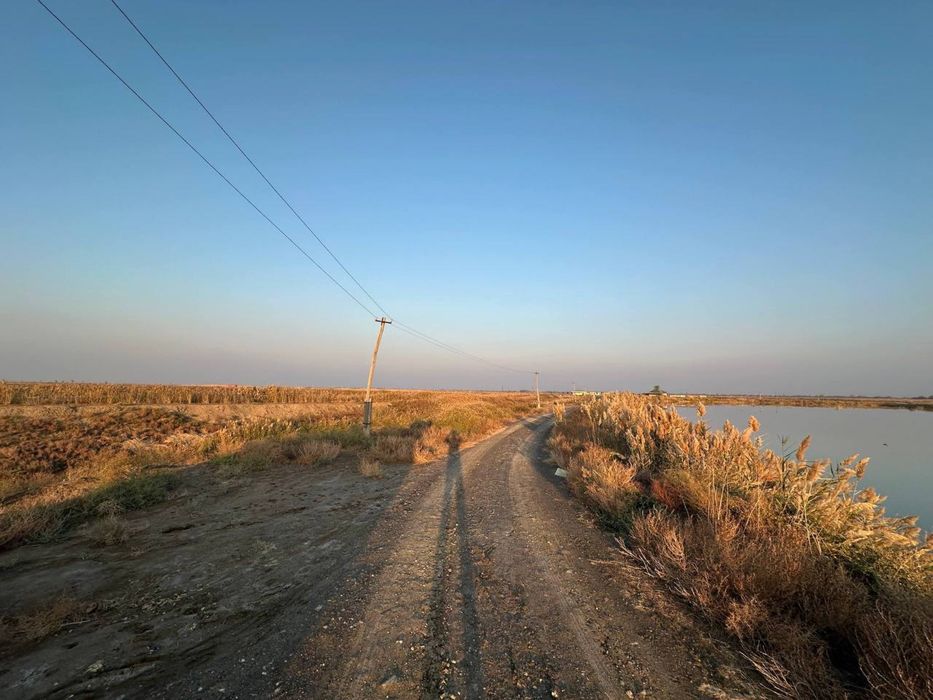 Tayyor baliq boqish uchun koʻl sotiladi