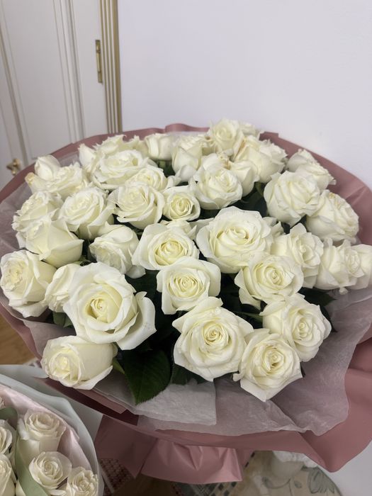 Продам цветы свежие красивые