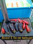 Fantasticul grătar cu plită și burlan! Grill/extensie ceaun opționale.