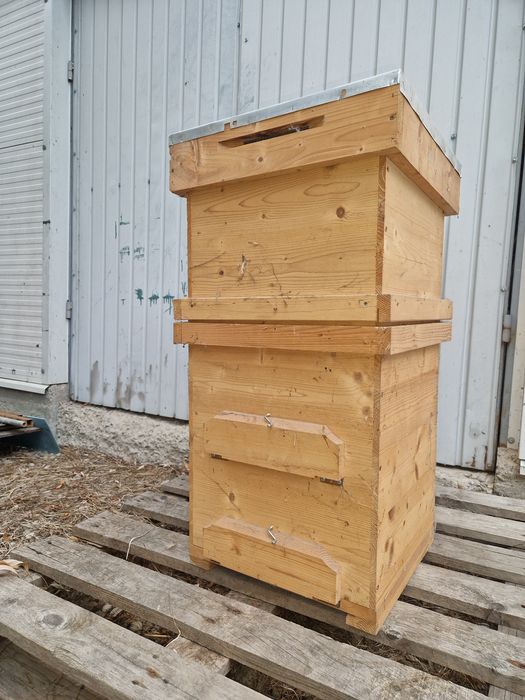 Stupi albine din lemn - Layens