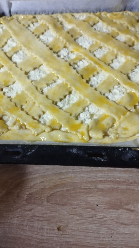 Tortlar har hil turdagi