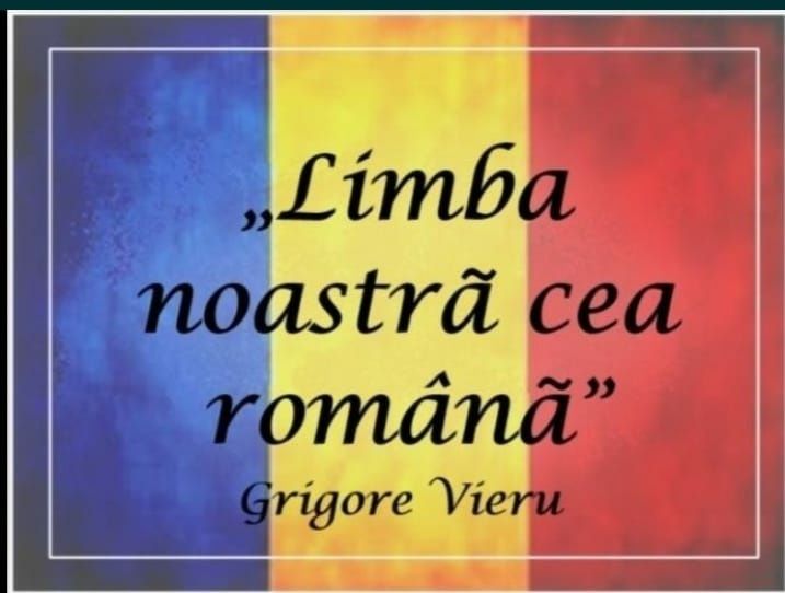 Meditații Limba română - gramatică (a VIII-a, Subofiteri)