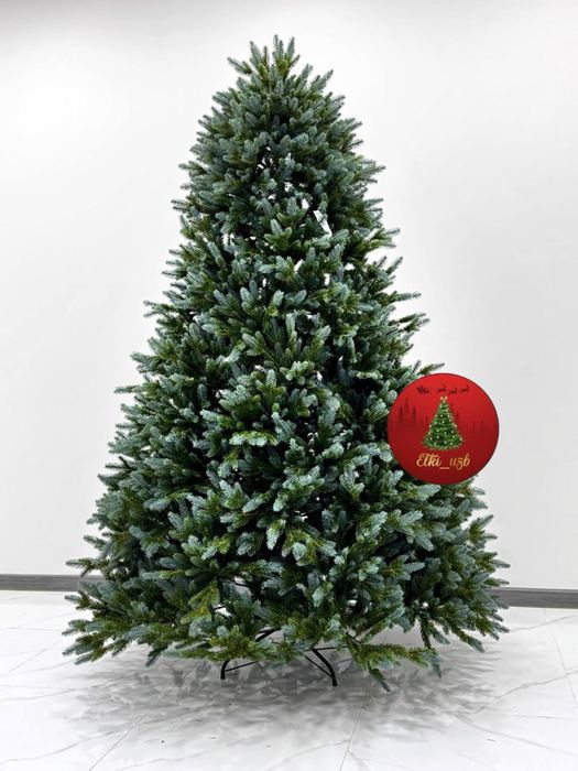 Голубая ель Гелиевая 100%