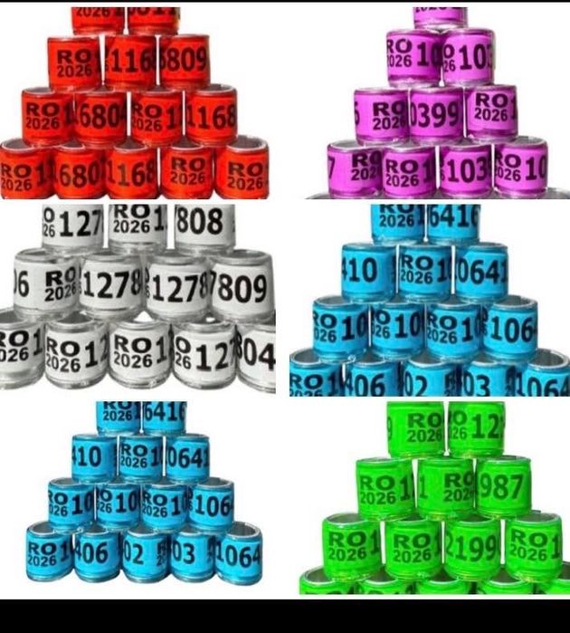 Inele 2026  1leu buc