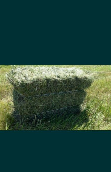 Продаю сено тюковой