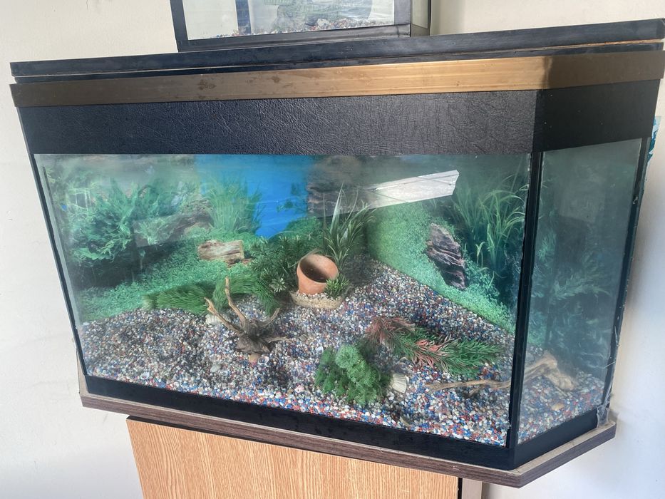 Acvariu de vanzare