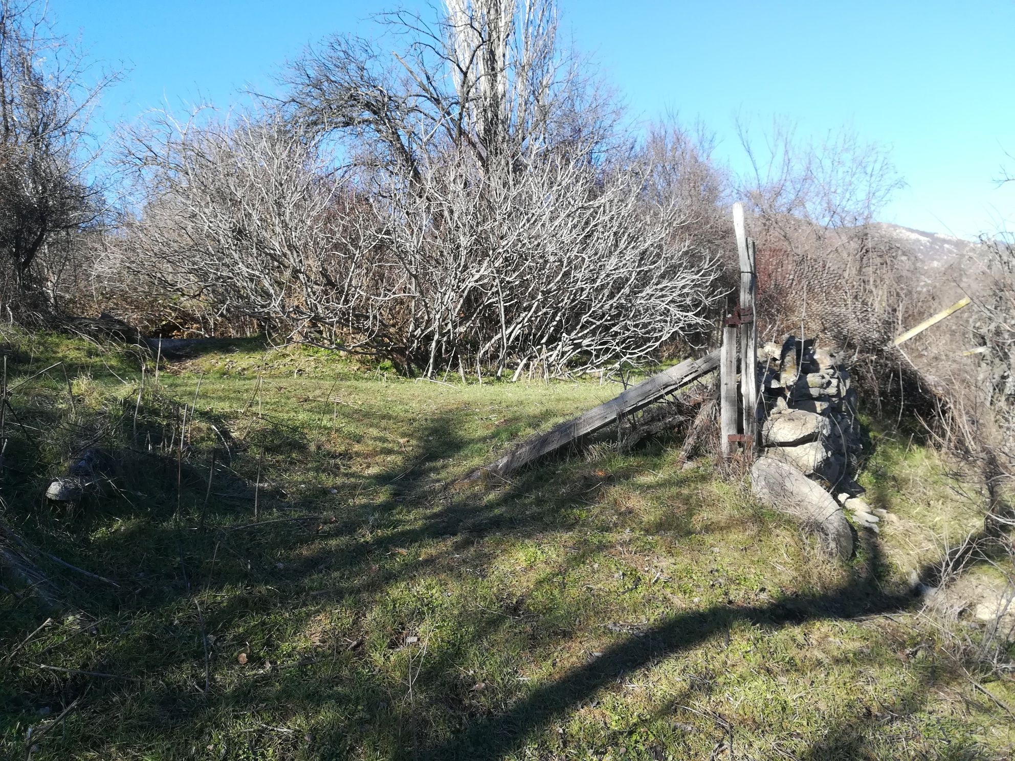 Парцел в село Мътеница