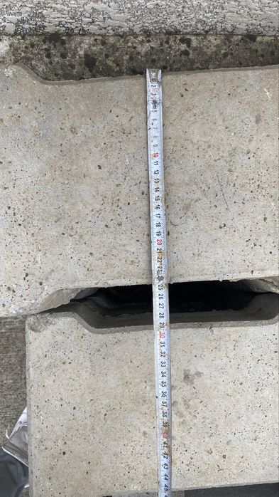 Rigola Carosabila armata