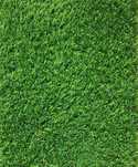 Gazon Artificial Premium, Inaltime Fir 20mm, Terasa, Curte, Loc Joaca