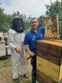 Schimb familii de albine