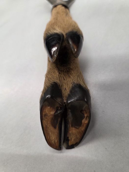 Artizanat de vânătoare - deschizător rustic din copită naturală