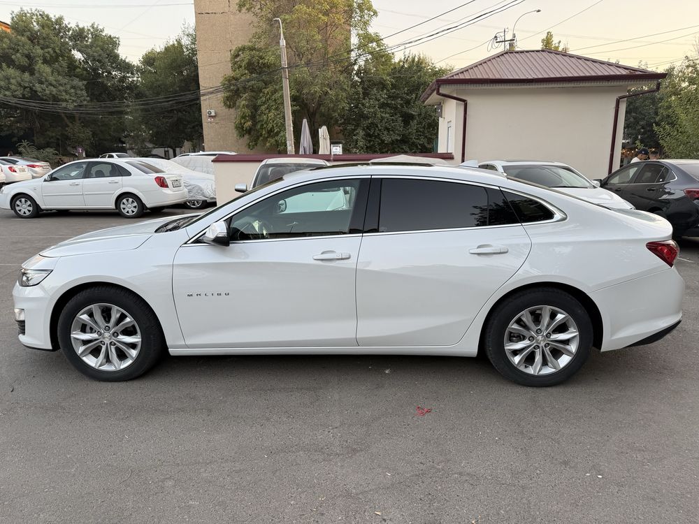 Malibu premier 2020