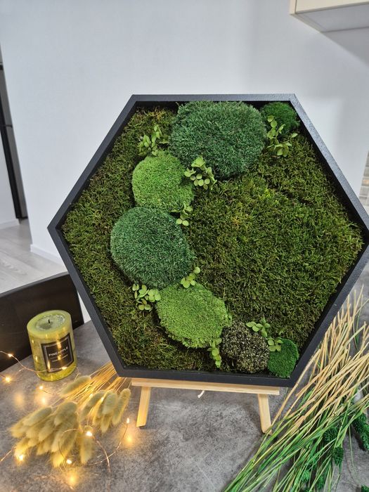 Tablouri hexagonale  muschi si licheni