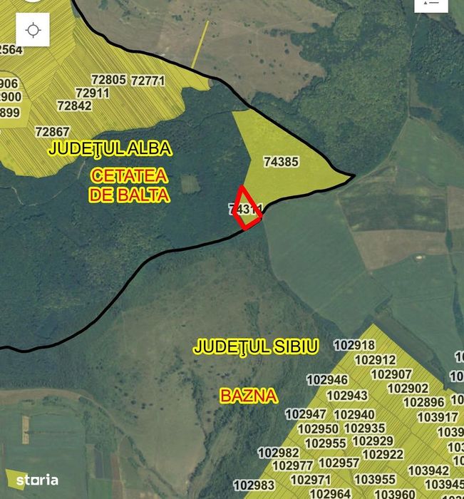 Pădure tânără în Cetatea de Baltă (jud. Alba)