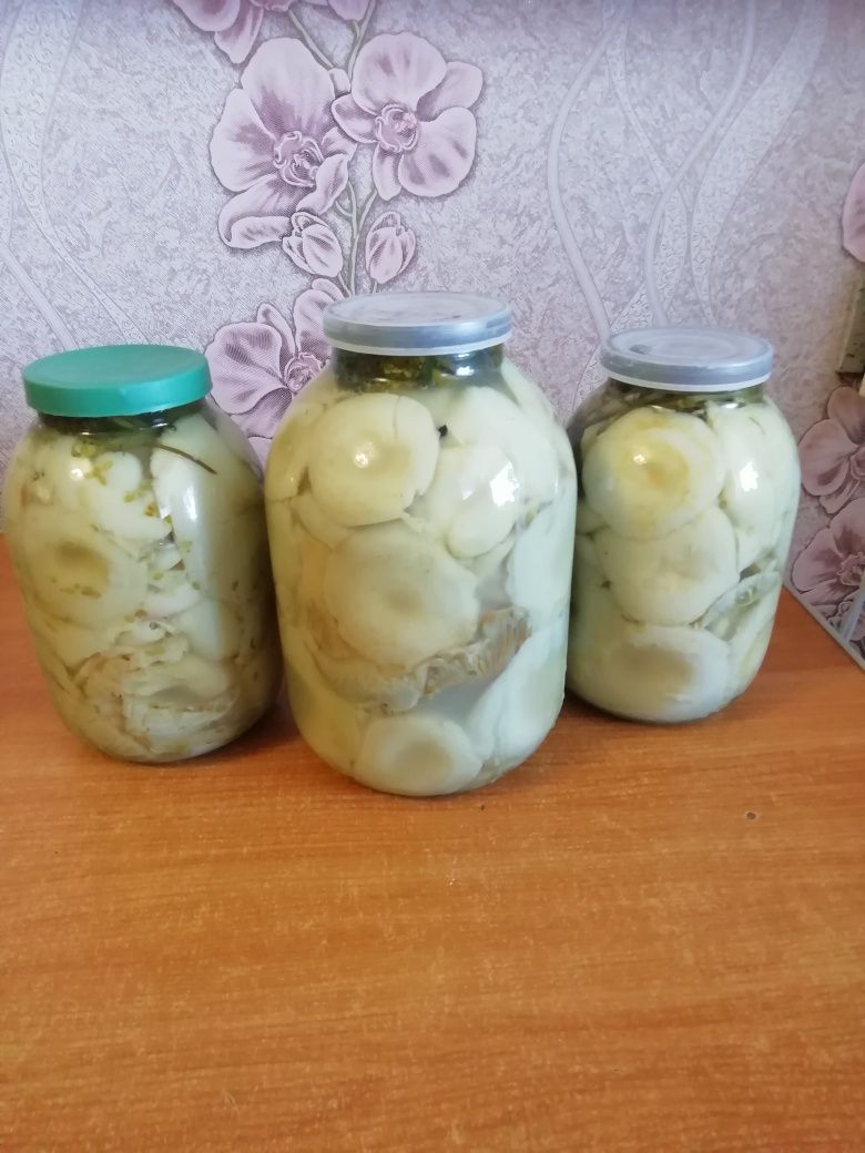 Продукты питания