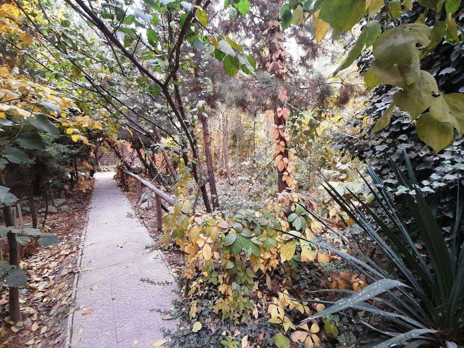 Нотурар бино иншоот 2.5 Га