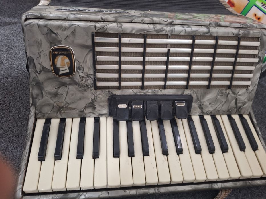 Weltmeister akkordeonn Аккордеон