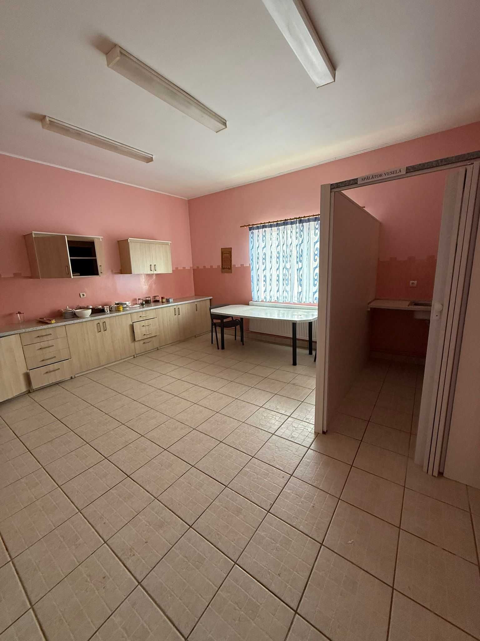 Casa de vanzare Tileagd si 4522mp teren