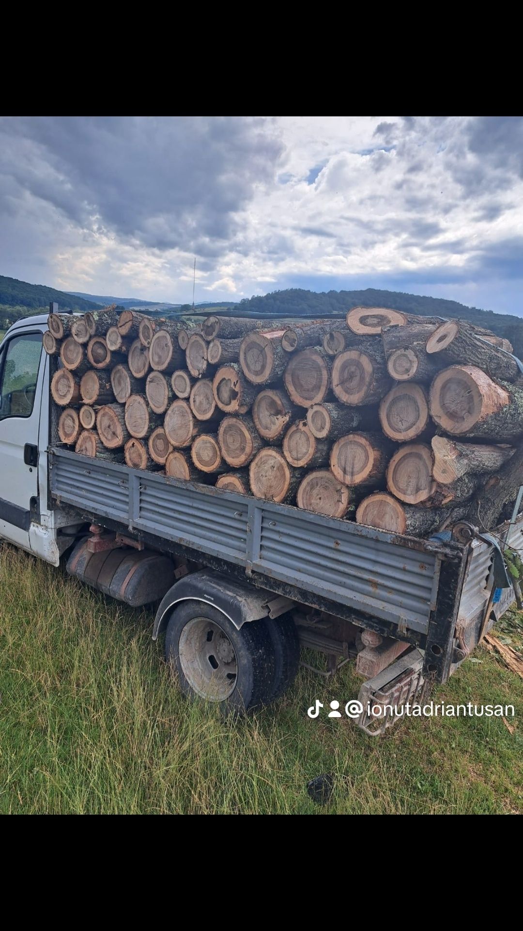 Transp lemne 2200 lei calitate