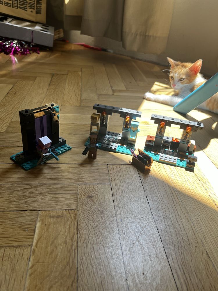Lego 21252 Minecraft